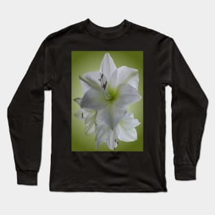 Amaryllis Long Sleeve T-Shirt